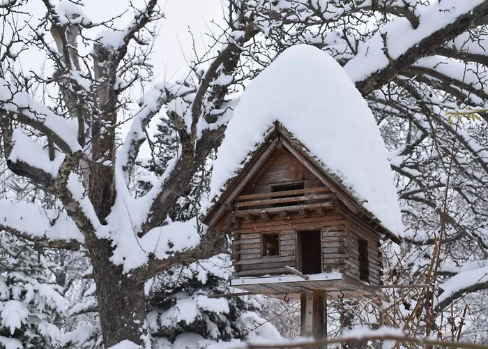 Bergblick Lejlighed Veckenstedt